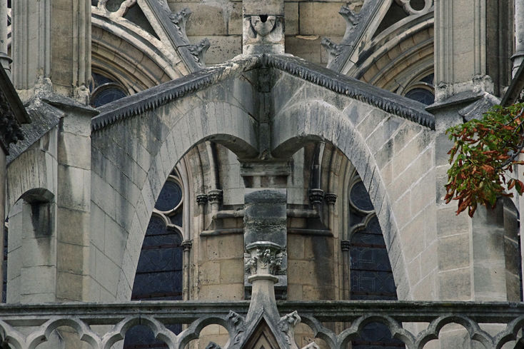 Notre-Dame zezadu